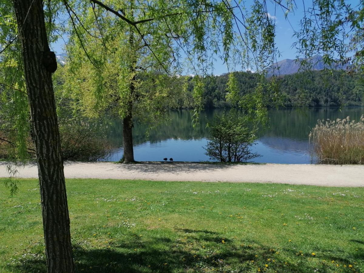 Ca' Dei Cigni Apartment Calceranica al Lago Bagian luar foto