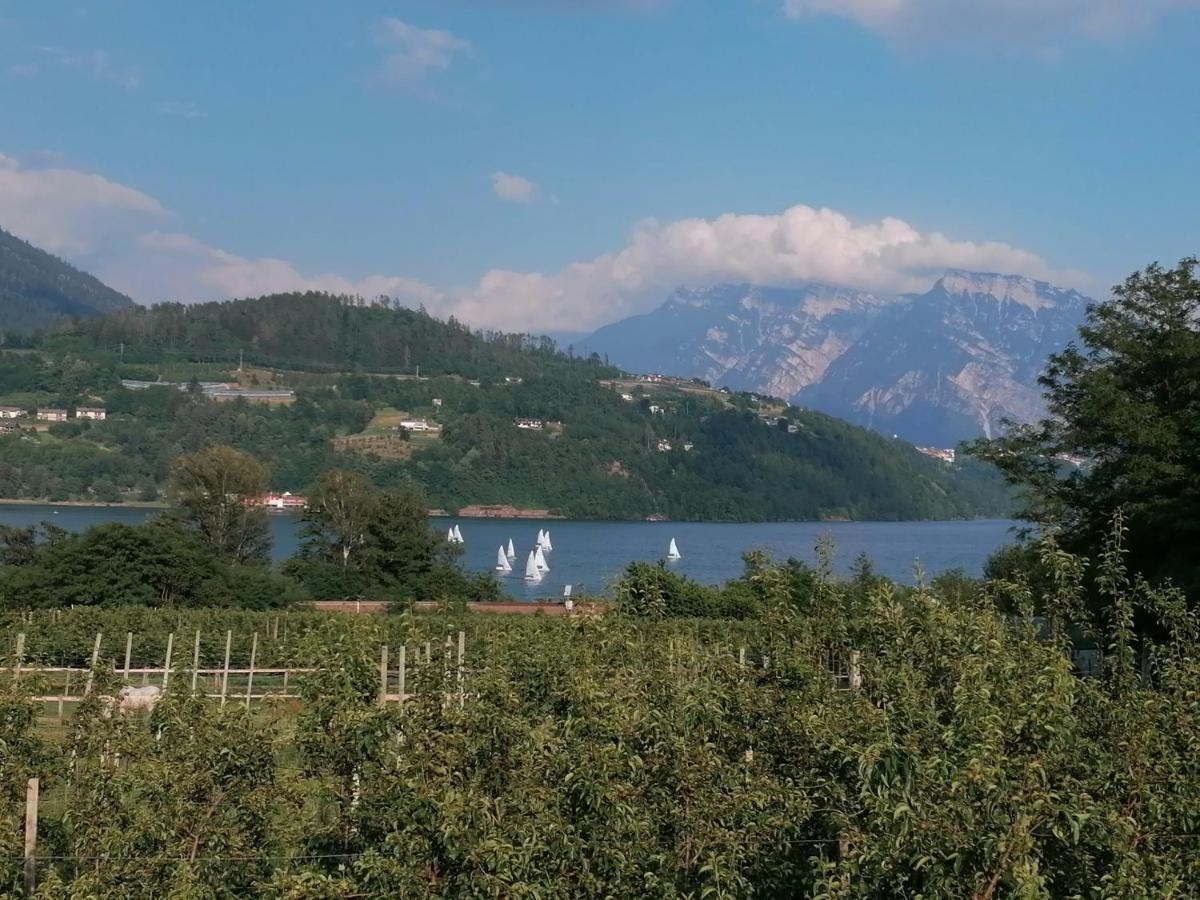 Ca' Dei Cigni Apartment Calceranica al Lago Bagian luar foto